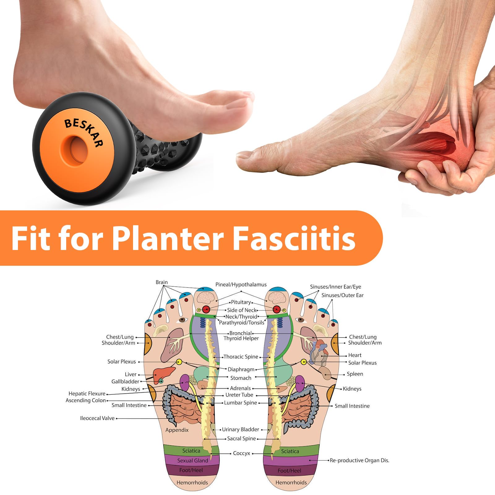 BESKAR Foot Massage Roller for Plantar Fasciitis Relief, Portable Foot Roller to Deep Tissue Muscle Massage, Foot Arch and Heel Pain, Foot Trigger Point Therapy Reflexology Tool - Available at All In One Marketplace Canada