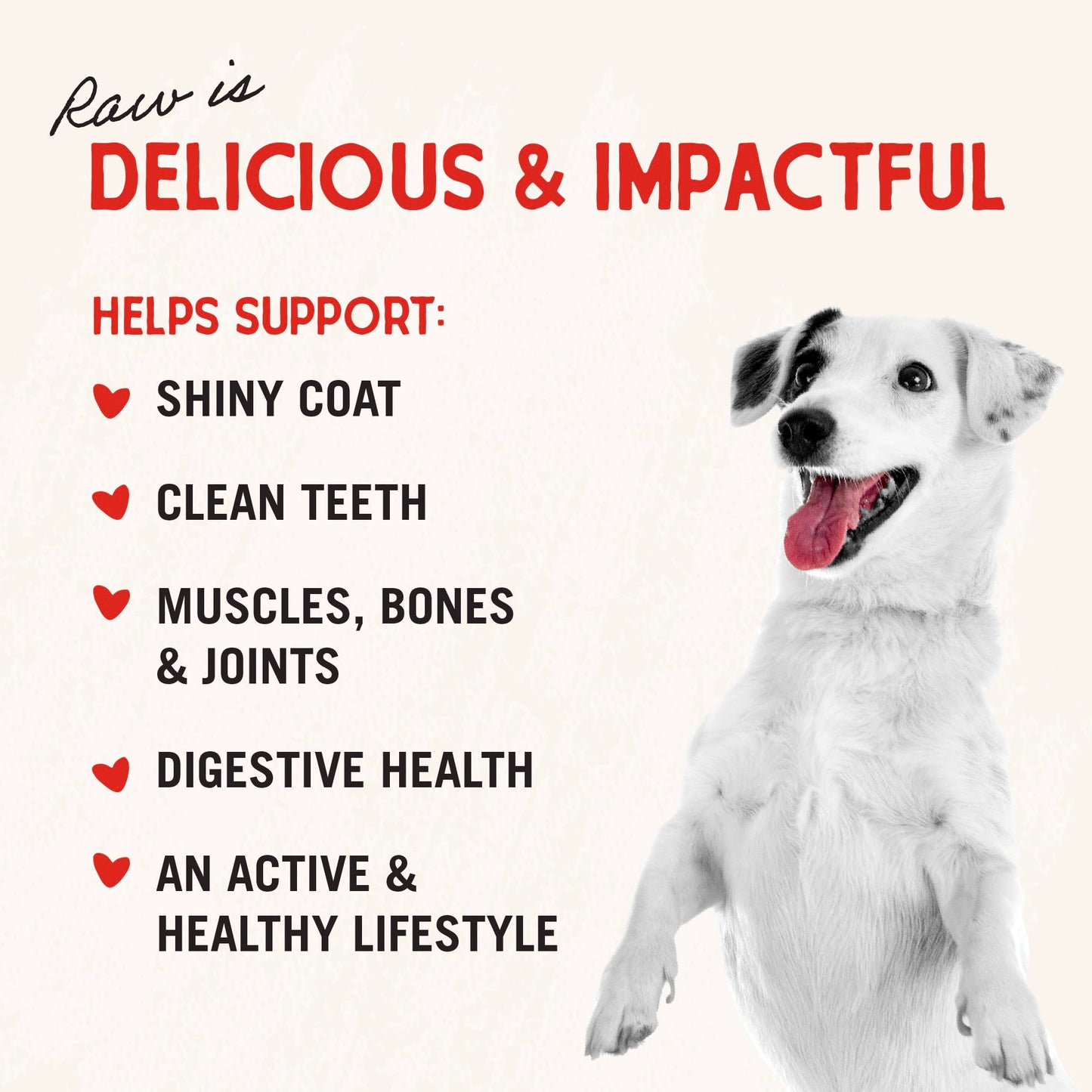 Stella & Chewy’s Freeze Dried Raw Dinner Patties – Grain Free Dog Food, Protein Rich Chewy’s Chicken Recipe – 708g Bag