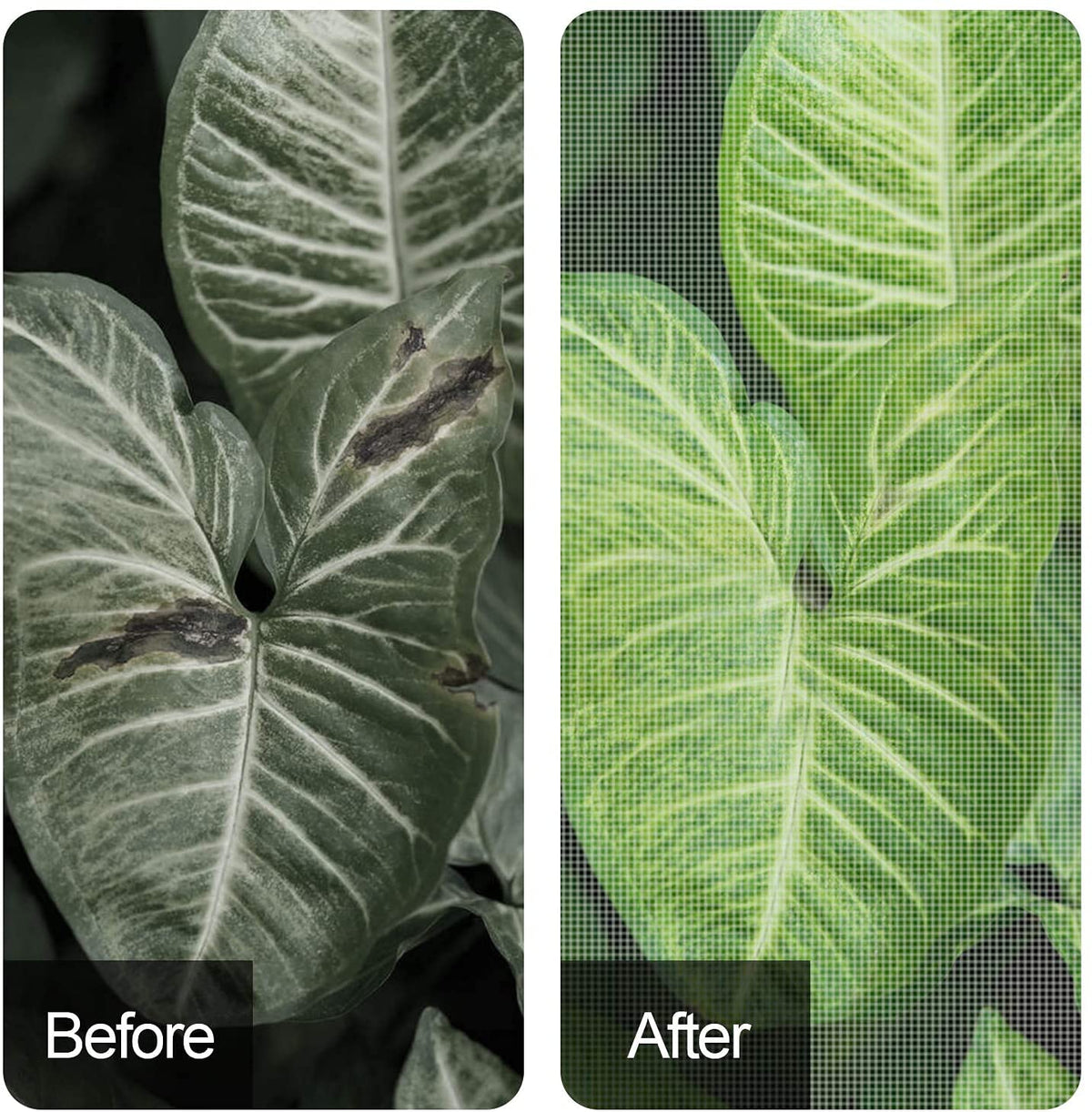 13 x 6.5 Ft Winter Plant Covers Freeze Protection -Warm Rectangle Plant Protection Cover, Frost Cloth Blanket Protecting Fruit Tree Potted Plants from Freezing Animals Eating 🍁 All In One Marketplace Canada