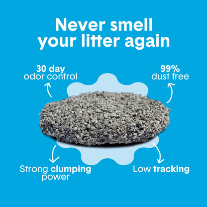 Boxie® Unscented 30 Day Odor Control Clumping Clay Cat & Kitty Litter 16 lb, 99.9% Dust-Free, Hard Flat Top® Clumps, No Fragrances No Fillers, Long-Lasting, Easy to Scoop