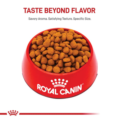 Royal Canin Size Health Nutrition Large Adult Dry Dog Food, 40 lb Bag