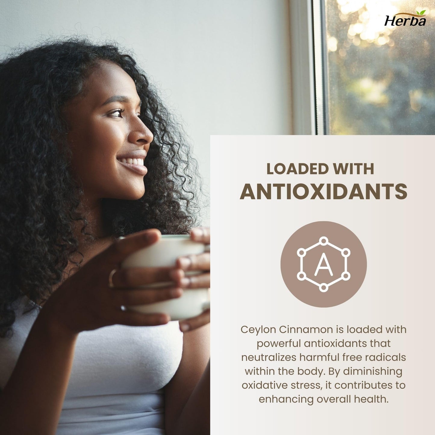 Herba Ceylon Cinnamon Capsules 4000mg - 180 Vegetable Capsules | Powerful 20:1 Extract from Sri Lanka | Equivalent to 4,000mg Dry Ceylon Cinnamon Powder | Made in Canada - Available at All In One Marketplace Canada