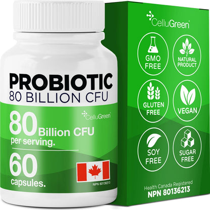 CelluGreen Probiotics 80 Billion CFU for Men & Women – 15 Strains – Digestive & Gut Health Support – Bloating & Gas Relief – Shelf Stable, Vegan, Non-GMO – 60 Capsules - Available at All In One Marketplace Canada