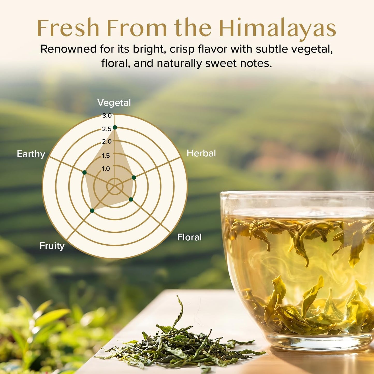 VAHDAM, Himalayan Green Tea Leaves (100g | 50+ Cups) Non GMO, Gluten Free | High Elevation Grown Green Tea Leaves From Himalayas | Pure Unblended Single Origin Green Loose Leaf Tea | Vacuum Sealed VAHDAM
