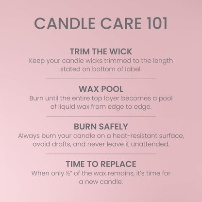 Yankee Candle 3 Wick Candle Jar, Scented Candle with up to 40 Hours of Burn Time, Premium Plant Wax Blend for Consistent Long Lasting Scent from First to Last Burn, Vanilla Cupcake Yankee Candle
