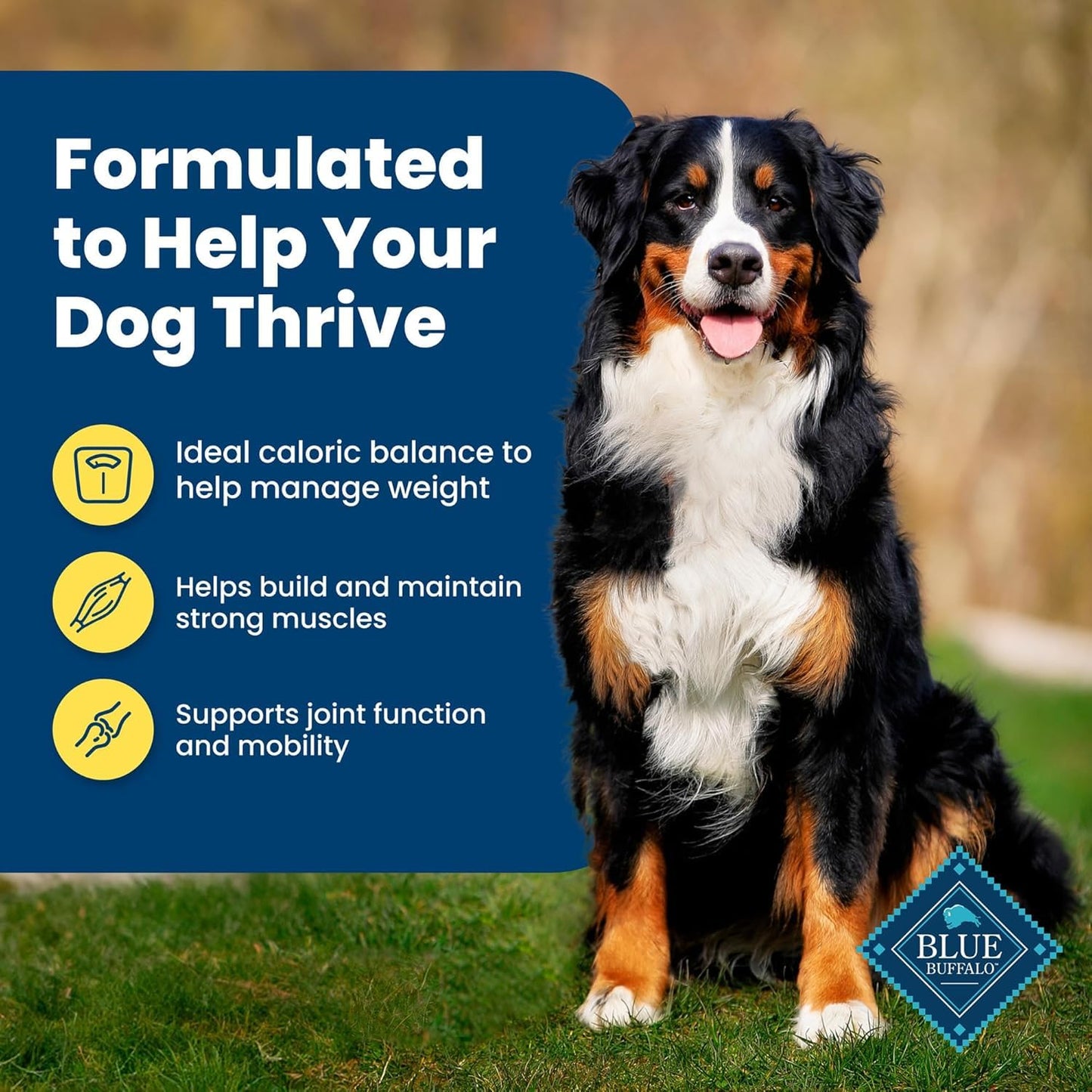 Blue Buffalo Life Protection Formula Healthy Weight Adult Dry Dog Food, Chicken & Brown Rice, Supports Immunity with Antioxidant-Rich LifeSource Bits, Promotes Lean Muscles, 11.7kg/26 lbs