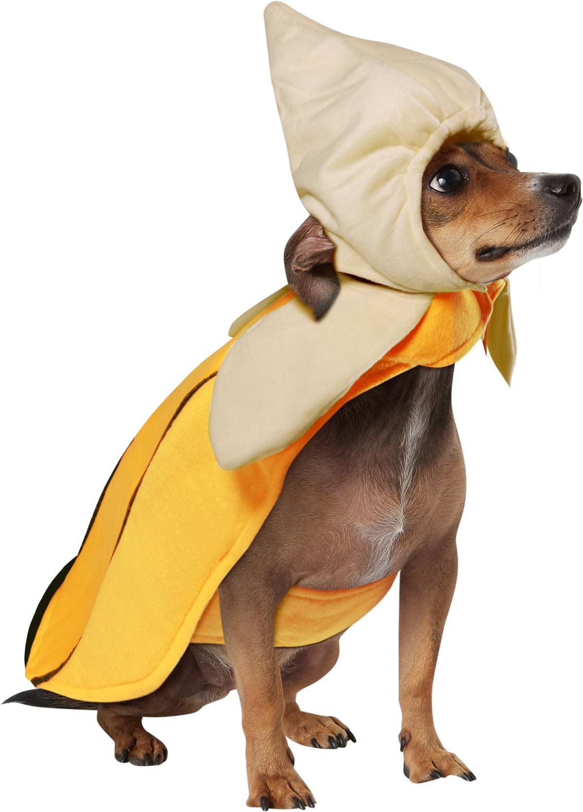Rubies Costume Co Halloween Classics Collection Pet Costume, Small, Banana