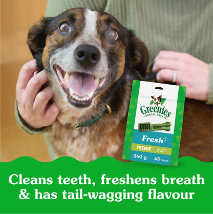 GREENIES Dog Treats Fresh Teenie Natural Dental Care, (43 Treats) 12oz. Pack