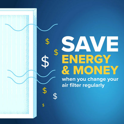 Filtrete 20x20x1 Furnace Filter, MPR 300, MERV 5, Clean Living Basic Dust 3-Month Pleated 1-Inch Air Filters, 6 Filters 🍁 All In One Marketplace Canada