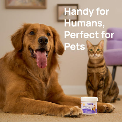HICC PET Teeth Finger Wipes for Dogs & Cats, Vet-Recommended Teeth Cleaning Wipes, Removes Bad Breath, Plaque & Tartar, Fresh Breath Oral Care, Toothbrush & Toothpaste Alternative, Unscented