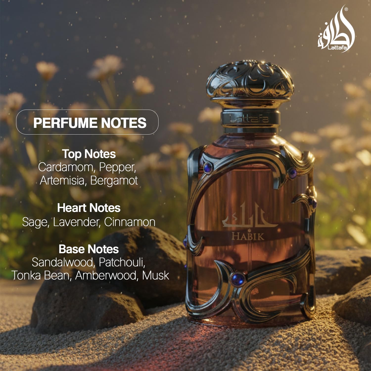 Lattafa Habik – Spicy, Aromatic, Woody, Musky – Eau de Parfum Spray Long-Lasting Fragrance for Men, 3.4 Ounce / 100 ml 🍁 All In One Marketplace Canada Lattafa