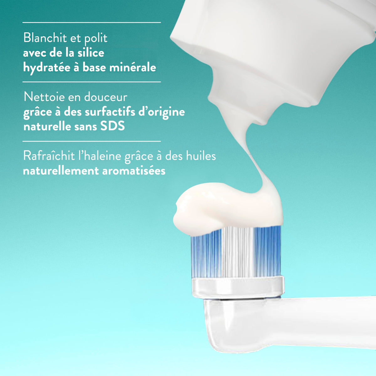 Native Fluoride Free Toothpaste, Peppermint Flavor, 90mL 3 Pack 🍁 All In One Marketplace Canada