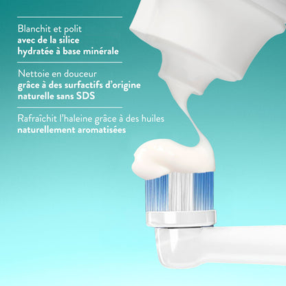 Native Fluoride Free Toothpaste, Peppermint Flavor, 90mL 3 Pack 🍁 All In One Marketplace Canada