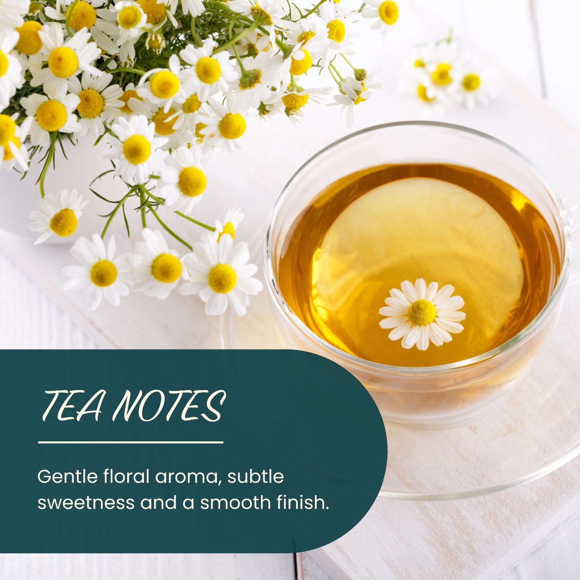 Dragonfly Herbs Organic Chamomile Tea – 250g Loose Whole Flowers, German Matricaria Chamomilla