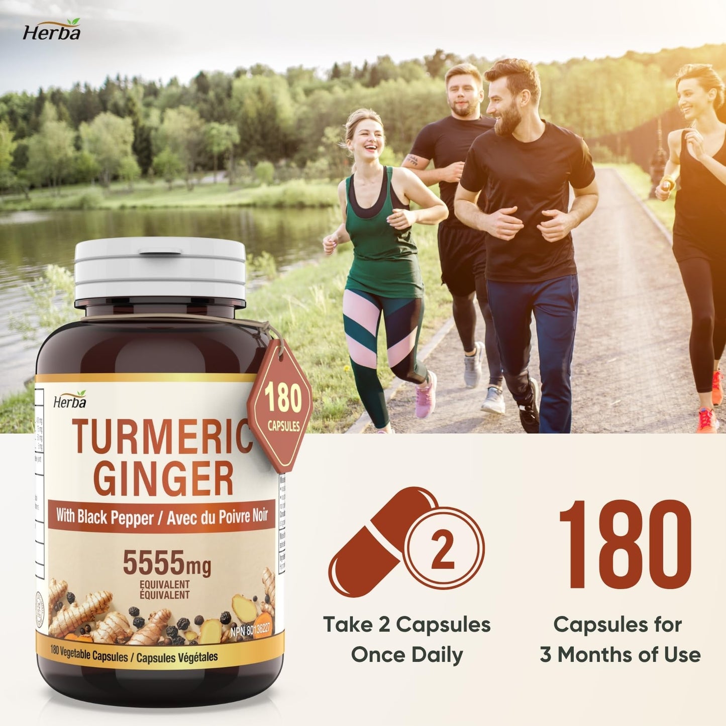 Herba Turmeric Supplements for Inflammation with Black Pepper and Ginger - 180 Capsules | 5,555mg Equiv. with 95% Turmeric Curcumin Supplements with Black Pepper | Joint Pain Relief | Made in Canada - Available at All In One Marketplace Canada