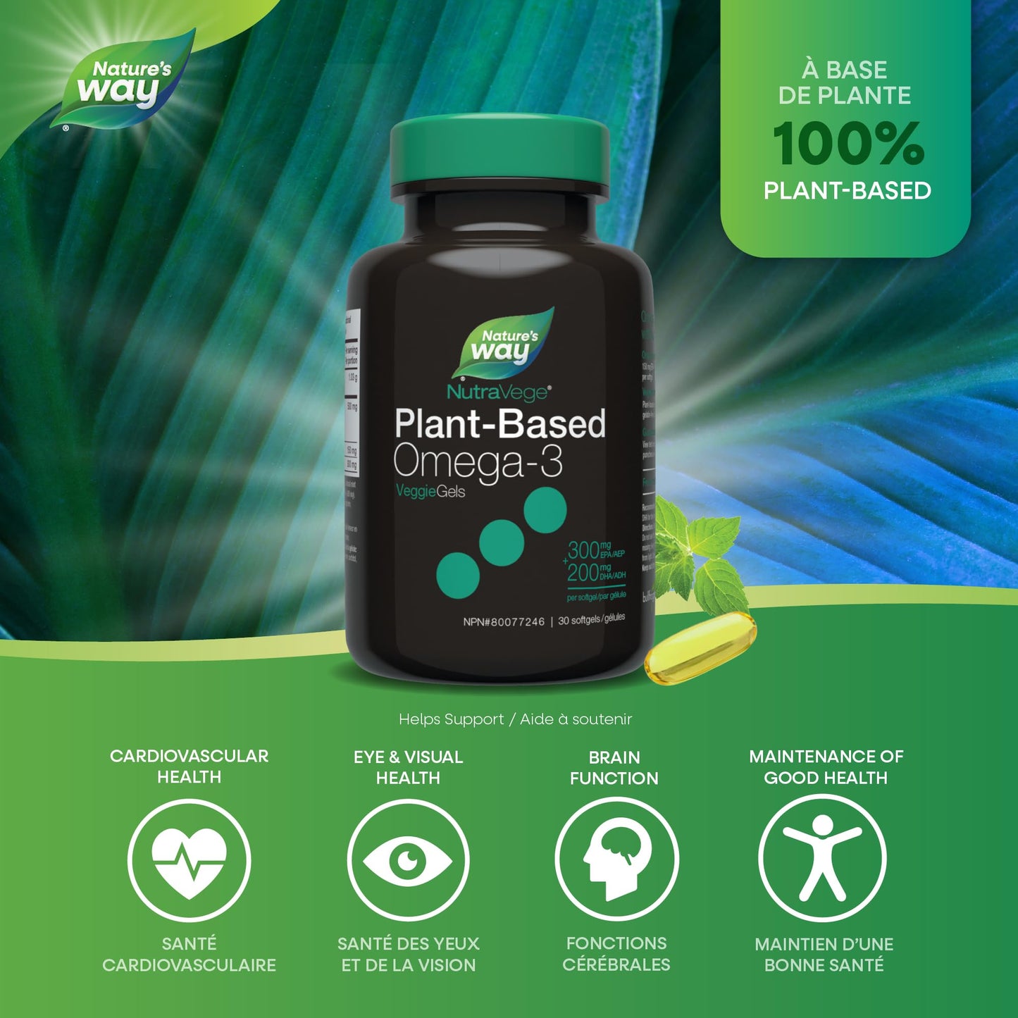 Nature’s Way NutraVege Plant-Based Omega-3 – 300mg EPA + 200mg DHA – Supports Heart, Brain & Eye Health – Plant Based – 30 Softgels Nature's Way