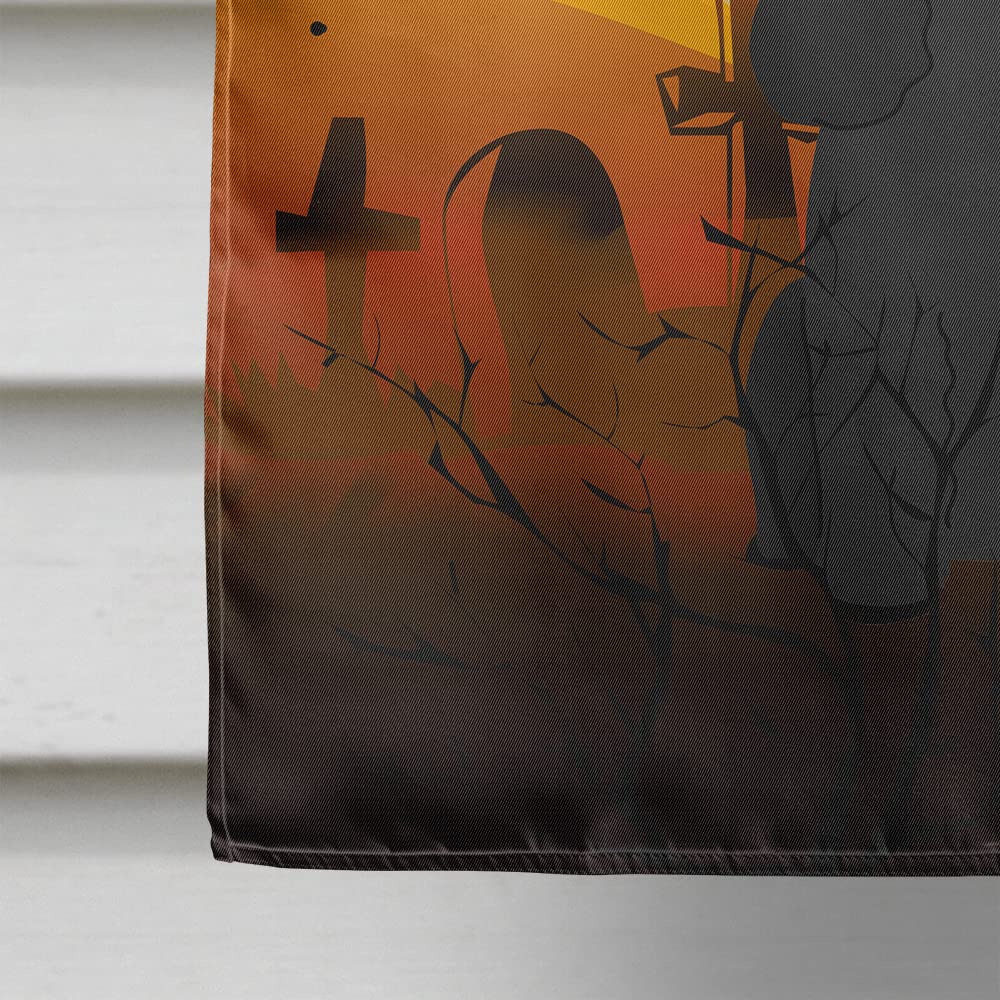 Drapeau de maison en toile Caroline's Treasures BB4337CHF Halloween Caniche Noir, Grand, Multicolore