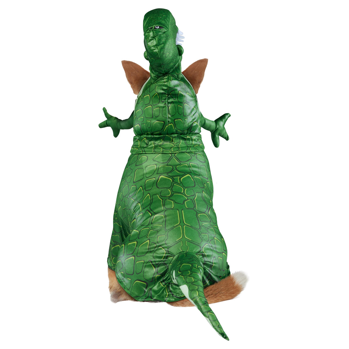 Rubies Disney Toy Story Pet Costume, Rex, Large for Themed Parties and Halloween