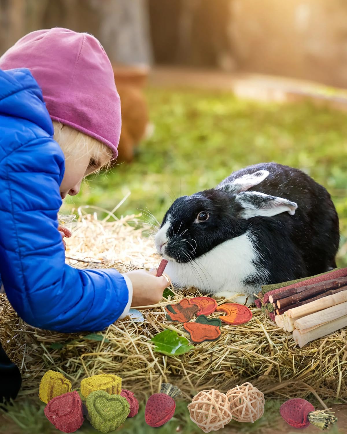 ERKOON 53PCS Bunny Chew Toys, Rabbit Chew Toys for Teeth Grinding, Improve Dental Health, 100% Natural Apple Wood Timothy Grass Cake Treats for Rabbits Guinea Pigs Chinchillas Bunnies Hamsters 🍁 All In One Marketplace Canada