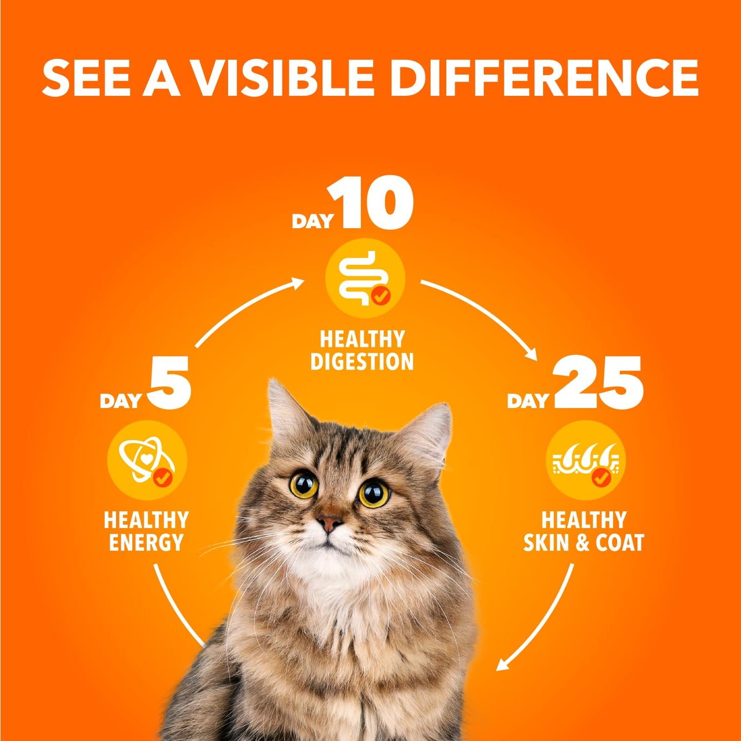 IAMS Perfect Portions Adult Wet Cat Food, Chicken Flavour, 75g (12 Pack) 🍁 All In One Marketplace Canada