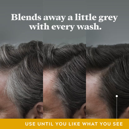 Just For Men Control GX Grey Reducing 2-in-1 Shampoo and Conditioner, Gradual Hair Color for Man, Stronger and Healthier Hair, 118ml - Pack of 3 🍁 All In One Marketplace Canada