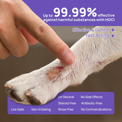 HICC PET Dog Wound Care Hydro Gel, Hot Spot Treatment for Dogs, Soothes Inflammation, Prevents Infection, Treats Bites & Scratches, Cat Wound Care Solution, Small Animal Health Supplies, 100ml