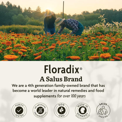 Salus Floradix Liquid Iron and Vitamins | Herbal Iron Supplement for Women, Men, and Children | Vegetarian, Dairy-Free & Non-GMO (250ml) Salus