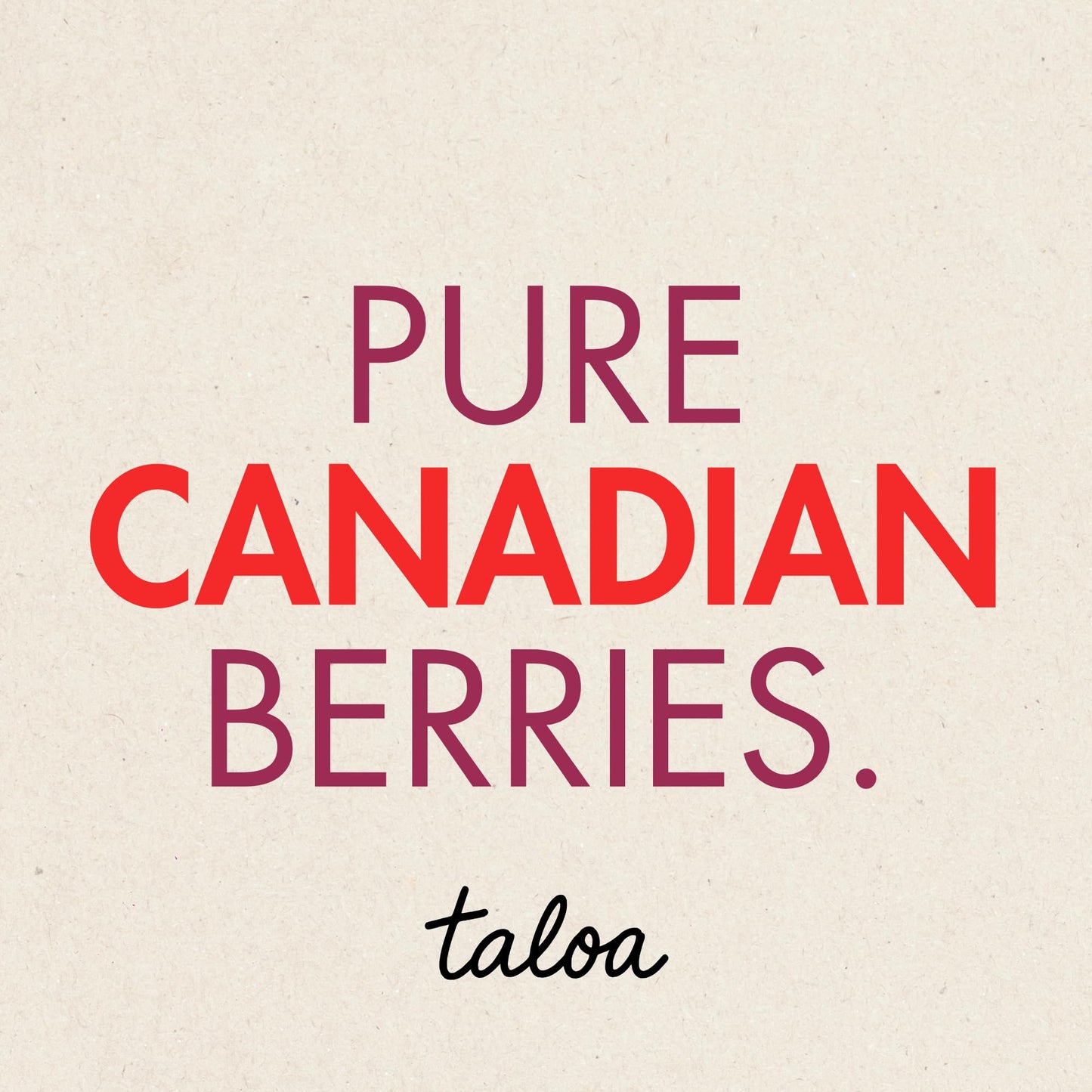 Taloa Wild Blueberry Powder 150g – Pure Nova Scotia Wild Blueberries, Canadian-Made, Unsweetened & Additive-Free