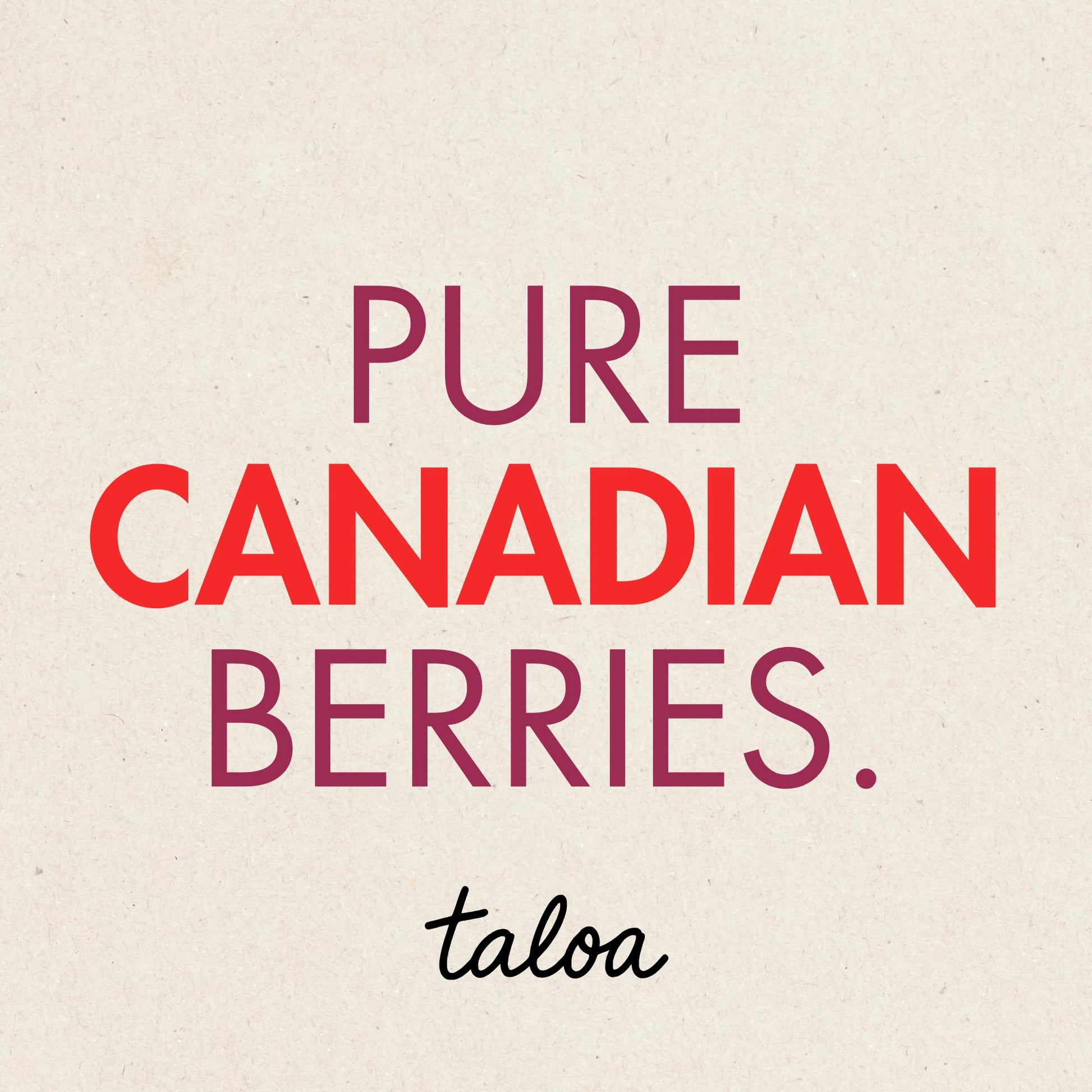 Taloa Wild Blueberry Powder 150g – Pure Nova Scotia Wild Blueberries, Canadian-Made, Unsweetened & Additive-Free