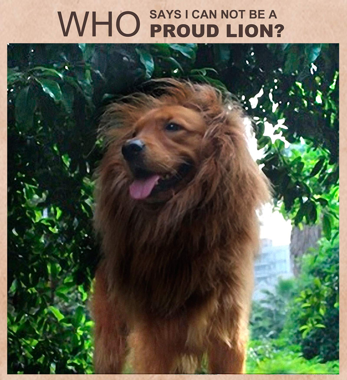 Onmygogo Lion Mane Wig for Dogs with Ears, Funny Pet Costumes for Halloween Christmas (L, Coffee) 🍁 All In One Marketplace Canada