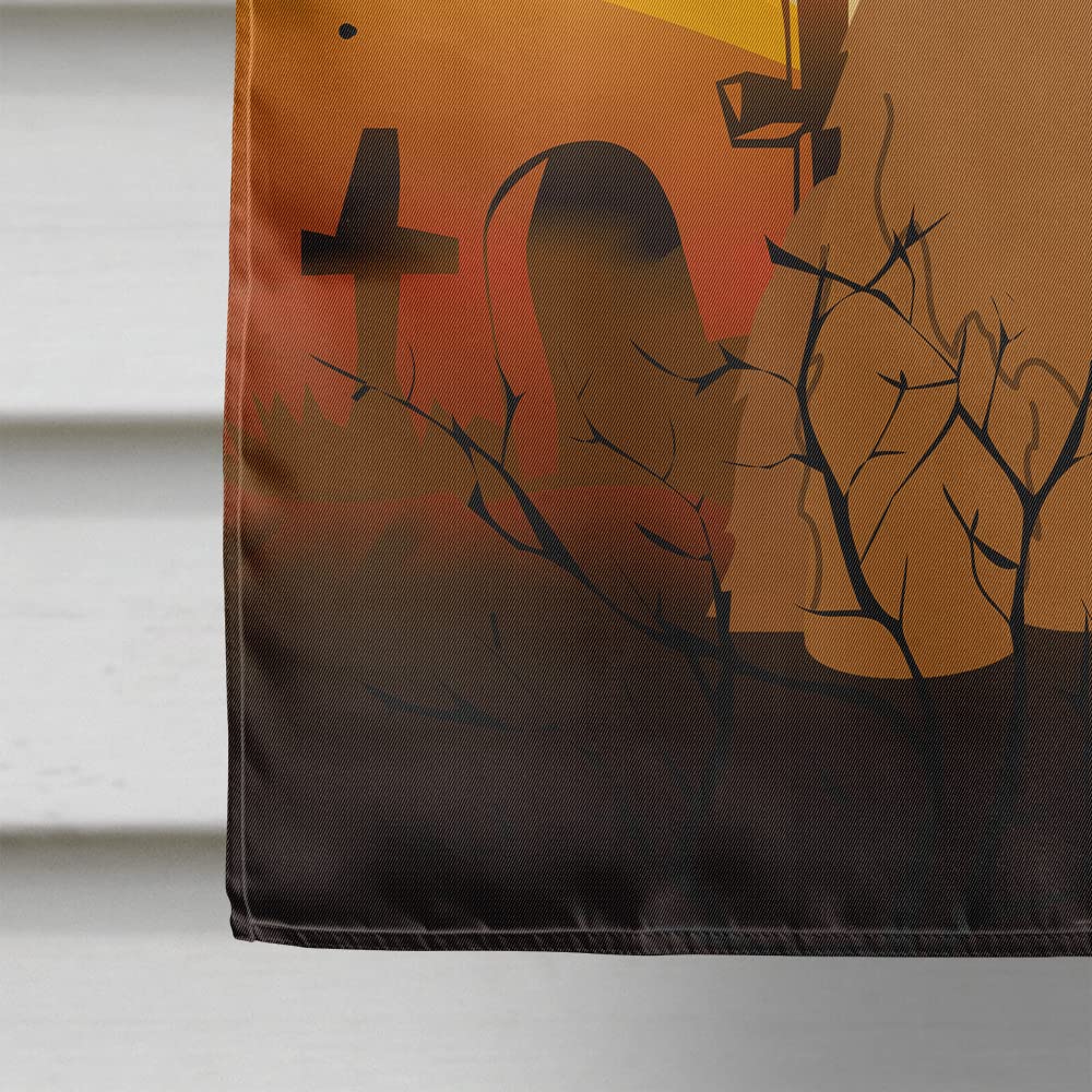 Caroline's Treasures BB4348CHF Halloween Briard Brown Flag Canvas House Size, Large, Multicolor