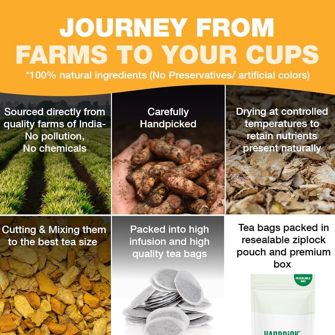 HANDPICK, Turmeric Ginger Tea, 100 Eco-Conscious Tea Bags | Caffeine Free, Gluten Free | 100% Pure Herbal Blend - Savory & Spicy | Curcumin | Packed in Eco-Friendly Tea Bags