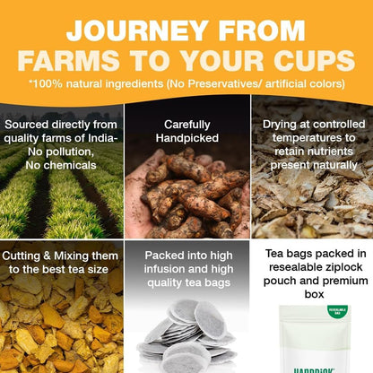 HANDPICK, Turmeric Ginger Tea, 100 Eco-Conscious Tea Bags | Caffeine Free, Gluten Free | 100% Pure Herbal Blend - Savory & Spicy | Curcumin | Packed in Eco-Friendly Tea Bags