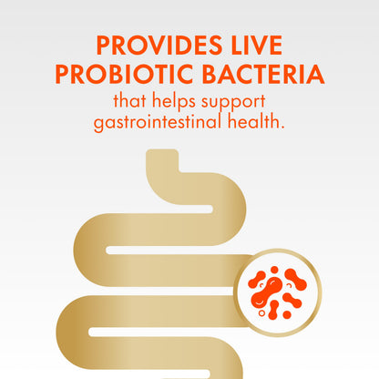 Align Probiotic Gummies for Women & Men, Helps Support Gastrointestinal Health, Made With Naturally Sourced Fruit Flavors, Strawberry Flavour, 60 Gummies - Available at All In One Marketplace Canada