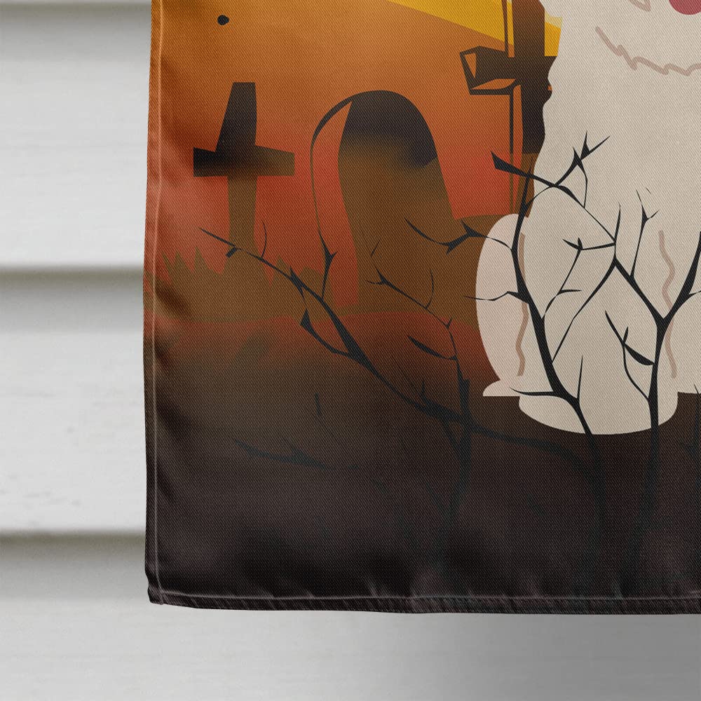 Caroline's Treasures BB4341CHF Halloween Bichon Frise Flag Canvas House Size, Large, Multicolor