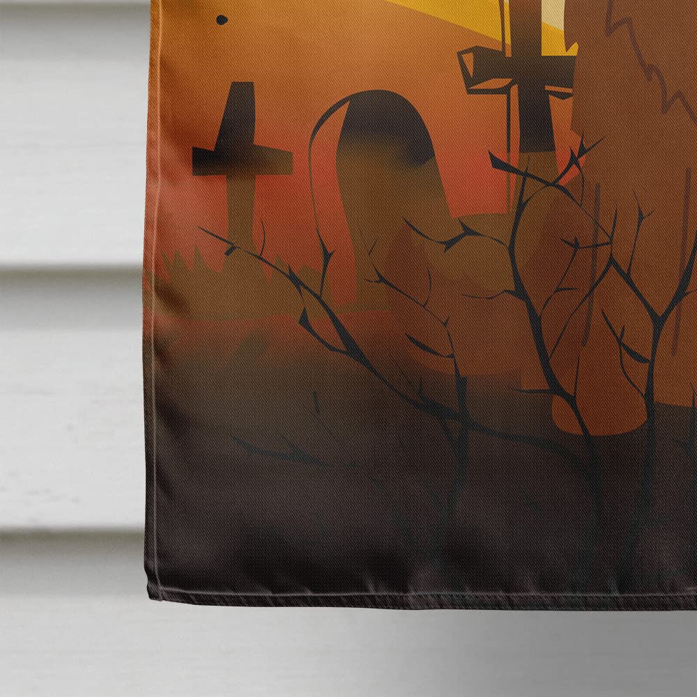 Drapeau de maison en toile Caroline's Treasures BB4316CHF Halloween Berger du Caucase, Grand, Multicolore