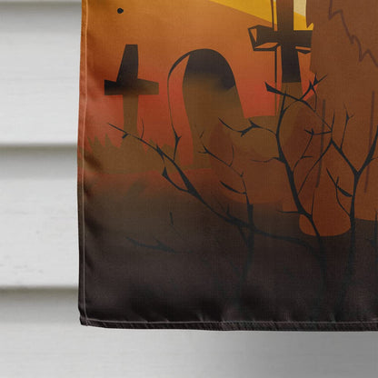 Drapeau de maison en toile Caroline's Treasures BB4316CHF Halloween Berger du Caucase, Grand, Multicolore