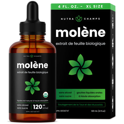 Organic Mullein Leaf Extract for Lungs - 4 Fl Oz - Herbal Tincture for Lung Cleanse & Flush - Natural Mullein Tea Alternative - Mullein Supplement Drops for Lungs - 1,000mg Equivalent Per Serving - Available at All In One Marketplace Canada