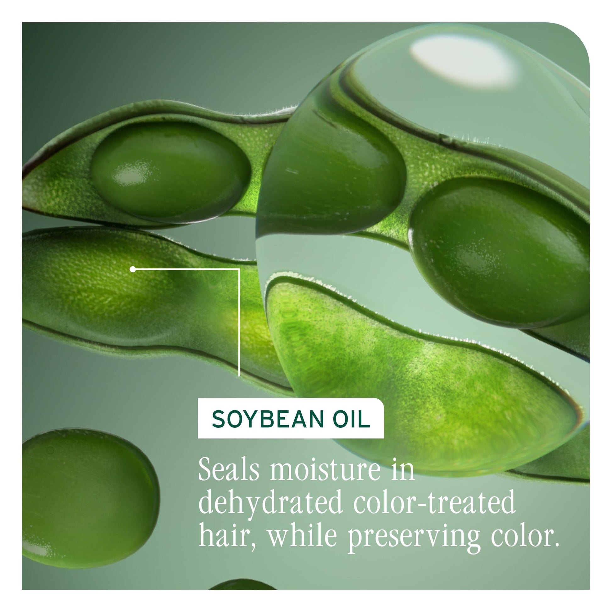 Biolage ColorLast Shampoo, For Color-Treated Hair, Protects & Maintains Vibrant Color, Tone, Shine & Anti-Fade, Cruelty Free, Vegan - Available at All In One Marketplace Canada