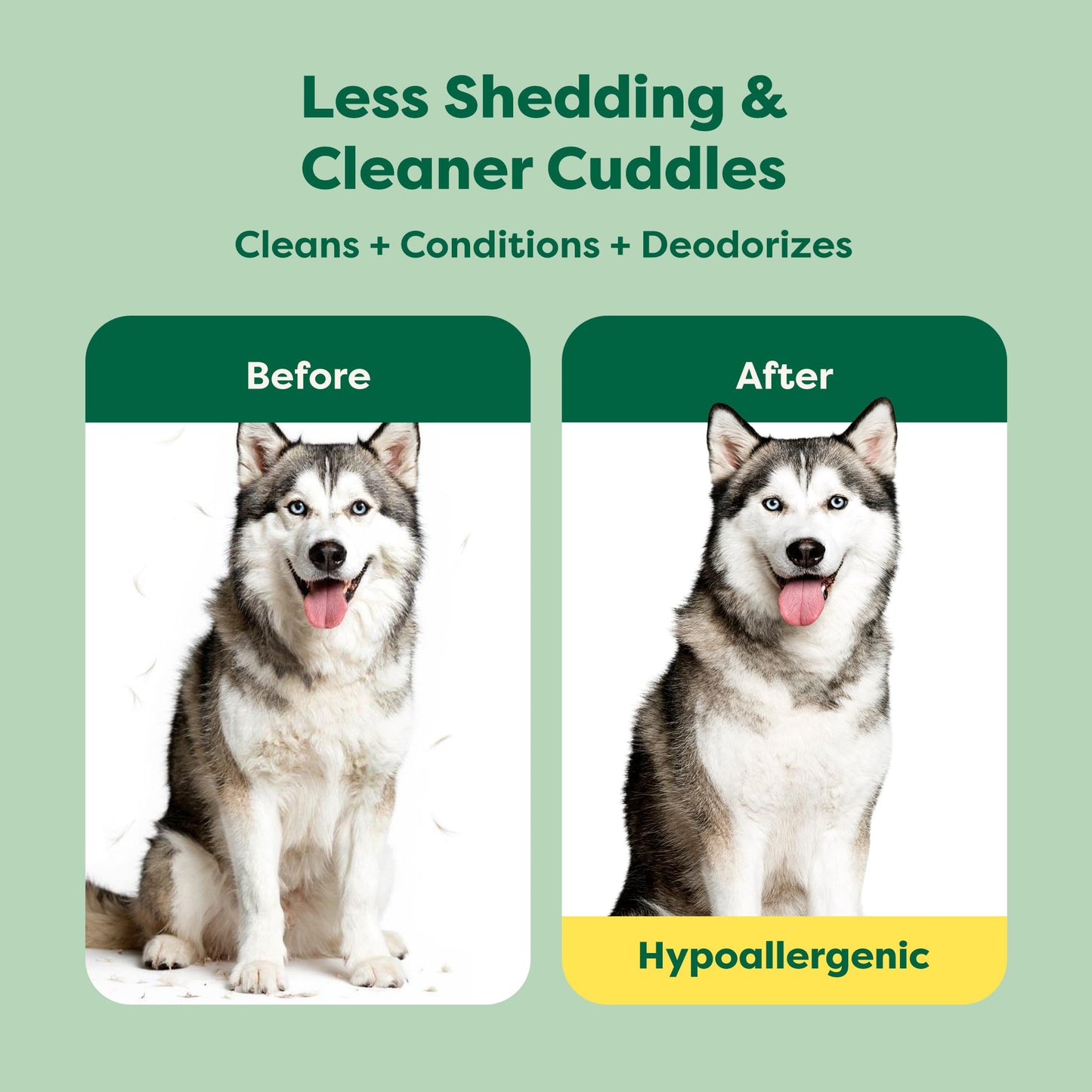 Earth Rated (A Canadian Company), 3-in-1 Deshedding Dog Shampoo and Conditioner, Deodorizing Oatmeal Shampoos for Dogs and Puppies, Great for Smelly Pets, White Tea and Basil Scent, 473 ml