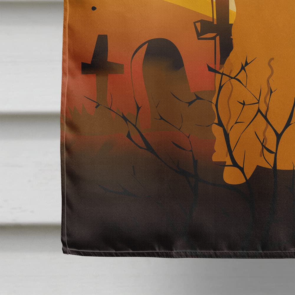 Caroline's Treasures BB4307CHF Halloween Airedale Flag Canvas House Size, Large, Multicolor