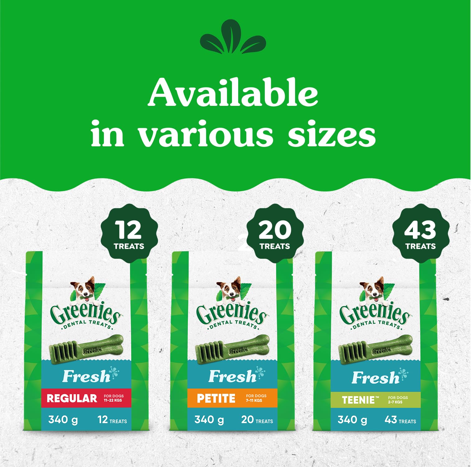 GREENIES Dog Treats Fresh Teenie Natural Dental Care, (43 Treats) 12oz. Pack
