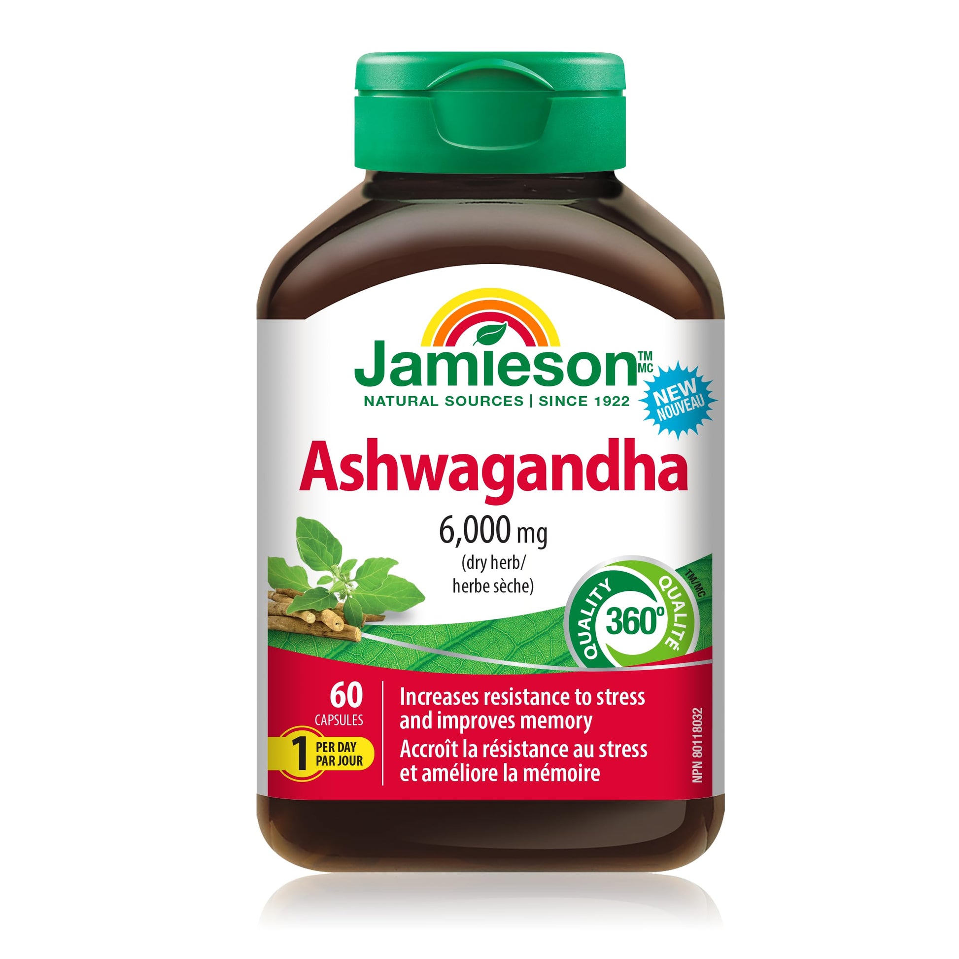 Jamieson High-Potency Ashwagandha 6,000 mg, Increases Resistance to Stress, Adaptogen, and Enhances Memory. Non-GMO, Vegetarian, Gluten-Free, Only One Per Day, 60 Capsules - Available at All In One Marketplace Canada