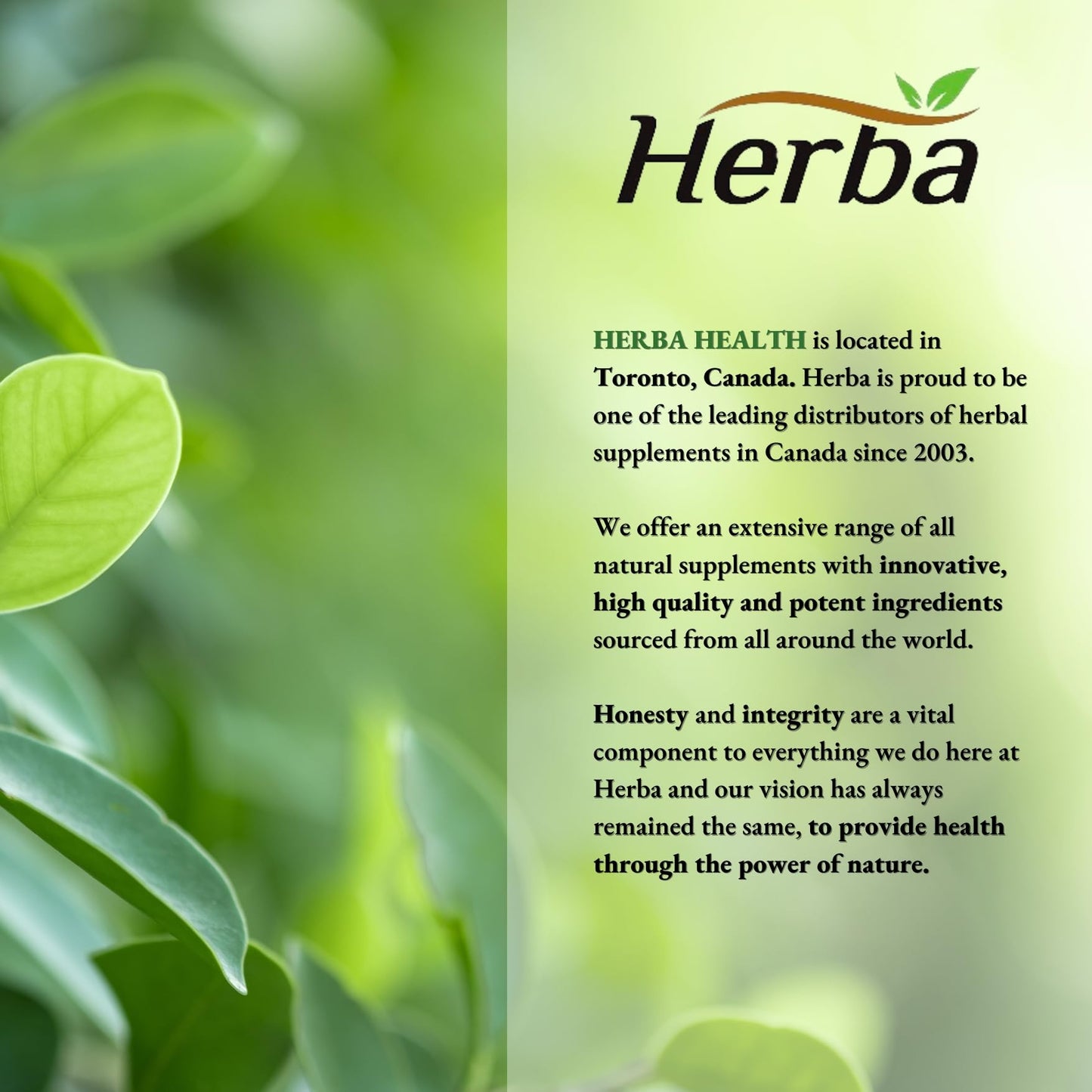 Herba Turmeric Supplements for Inflammation with Black Pepper and Ginger - 180 Capsules | 5,555mg Equiv. with 95% Turmeric Curcumin Supplements with Black Pepper | Joint Pain Relief | Made in Canada - Available at All In One Marketplace Canada