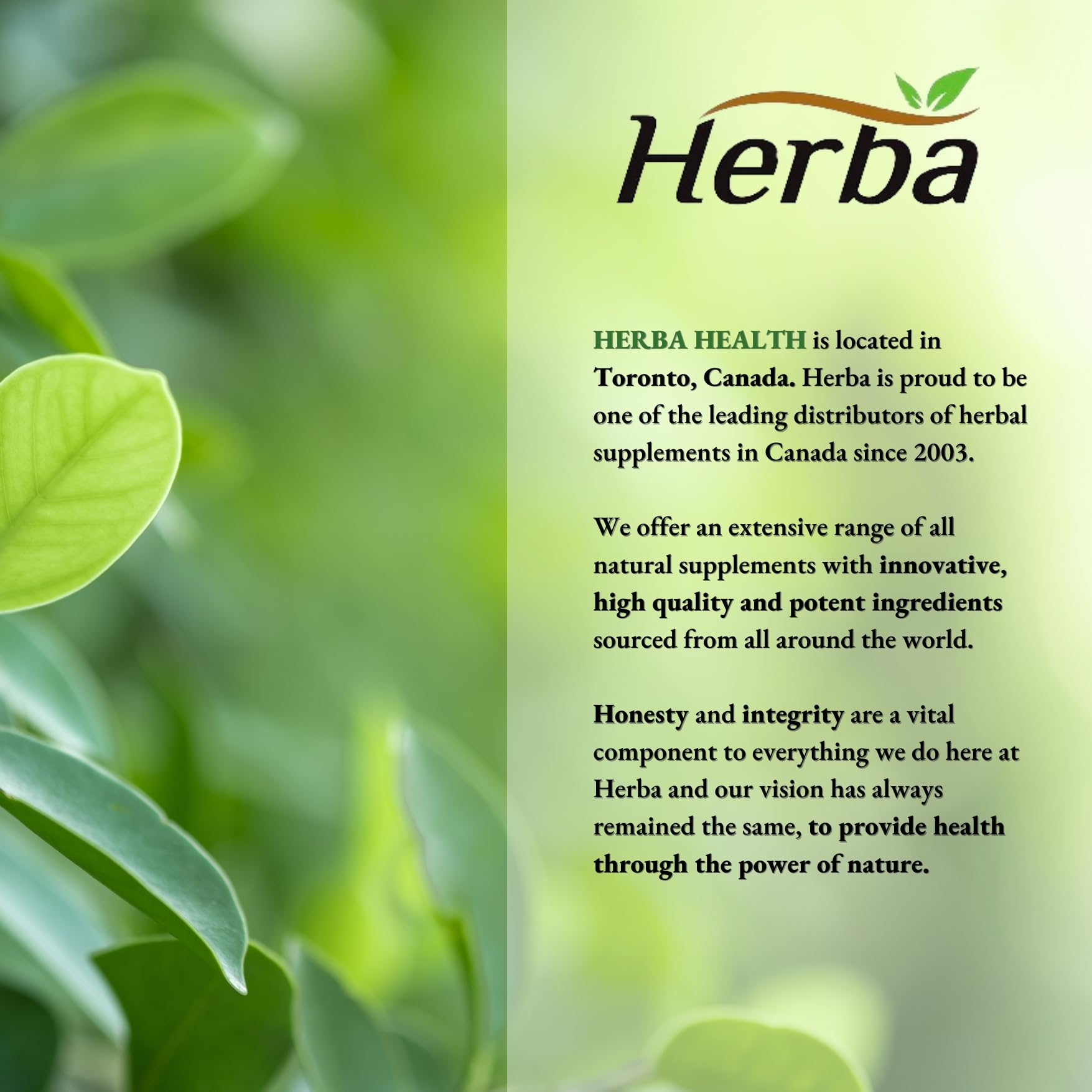 Herba Turmeric Supplements for Inflammation with Black Pepper and Ginger - 180 Capsules | 5,555mg Equiv. with 95% Turmeric Curcumin Supplements with Black Pepper | Joint Pain Relief | Made in Canada - Available at All In One Marketplace Canada