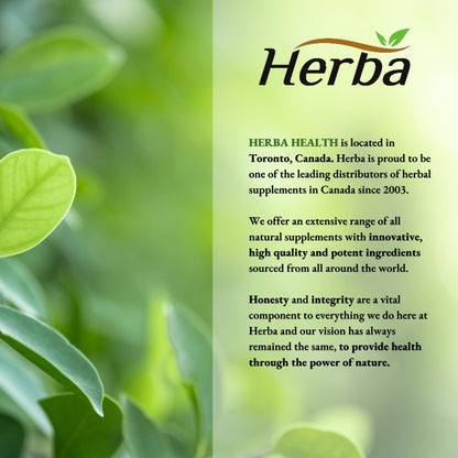 Herba Turmeric Supplements for Inflammation with Black Pepper and Ginger - 180 Capsules | 5,555mg Equiv. with 95% Turmeric Curcumin Supplements with Black Pepper | Joint Pain Relief | Made in Canada - Available at All In One Marketplace Canada