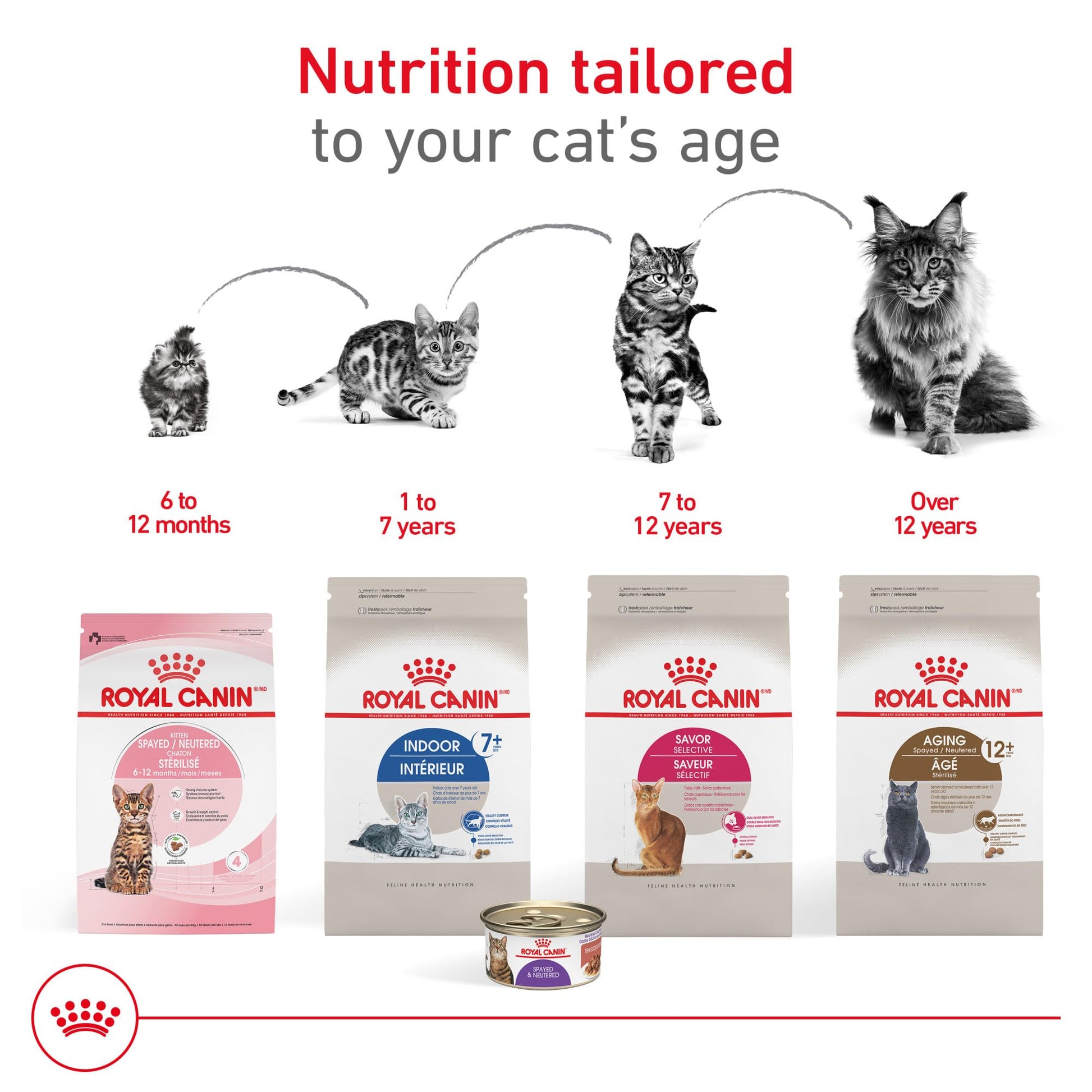 Royal Canin Appetite Control Spayed/Neutered 12+ Dry Adult Cat Food, 7 lb Bag ROYAL CANIN