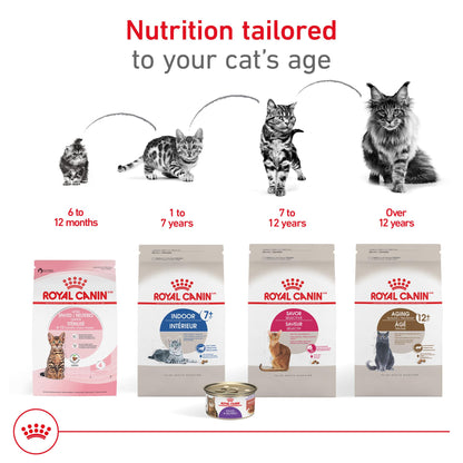 Royal Canin Appetite Control Spayed/Neutered 12+ Dry Adult Cat Food, 7 lb Bag ROYAL CANIN