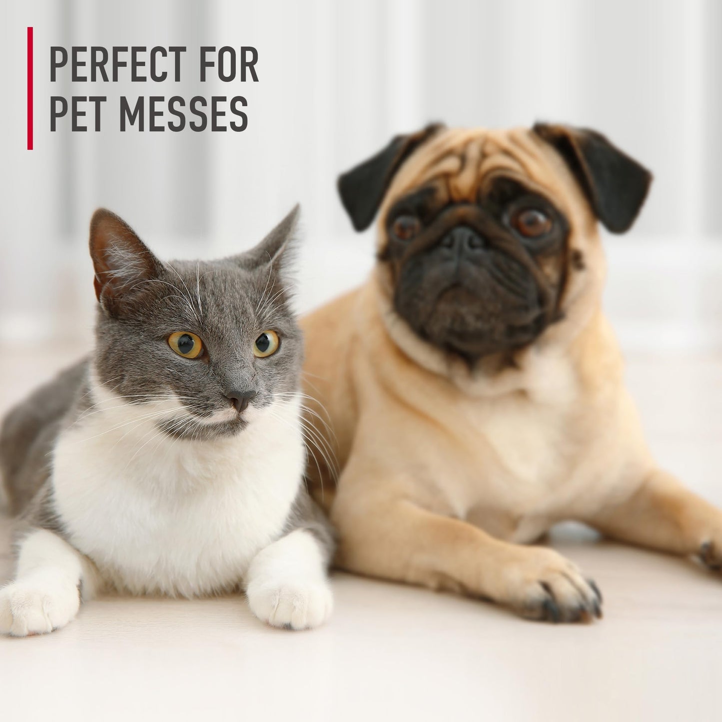 Hoover Oxy Pet Urine Destroyer and Carpet Cleaner Solution 3.4 L Ocean Breeze Scent Pet Stain and Odor Remover for Deep Cleaning Carpets Rugs Upholstery AH31938CA 🍁 All In One Marketplace Canada