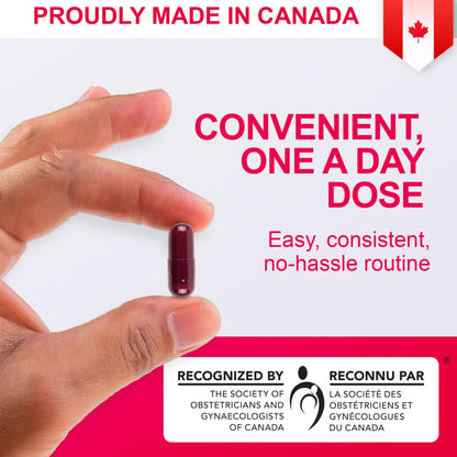 Pharmaris i-max Polysaccharide Iron Complex, 150 mg Elemental Iron Supplement for Treatment and Prevention of Iron Deficiency Anemia, 250 mg Vitamin C, 1000 mcg Vitamin B12, No Artificial Dyes, Vegan, 100 Capsules - Available at All In One Marketplace Canada